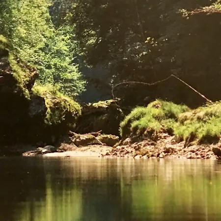 Apartment Ambiente Waidhofen an der Ybbs