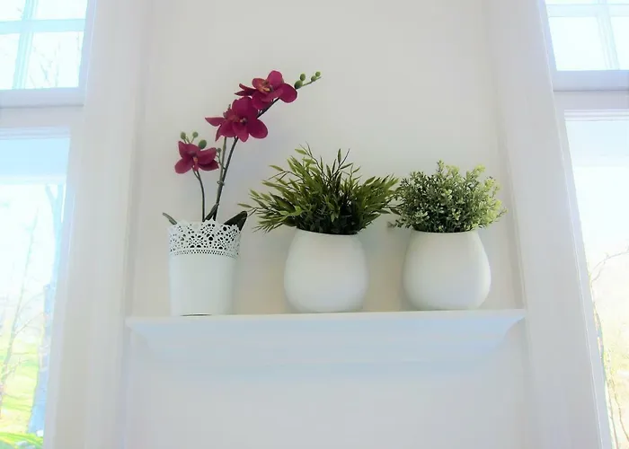 Ambiente Apartment Waidhofen an der Ybbs