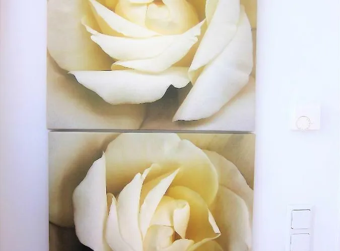 Ambiente * Waidhofen an der Ybbs