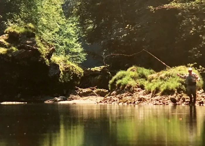 Appartement Ambiente Waidhofen an der Ybbs